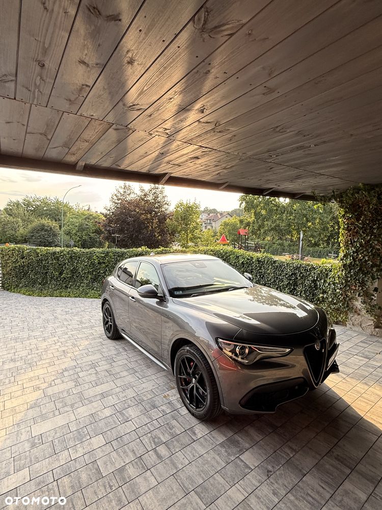 Alfa Romeo Stelvio 2.0 Turbo Veloce Q4 - 3