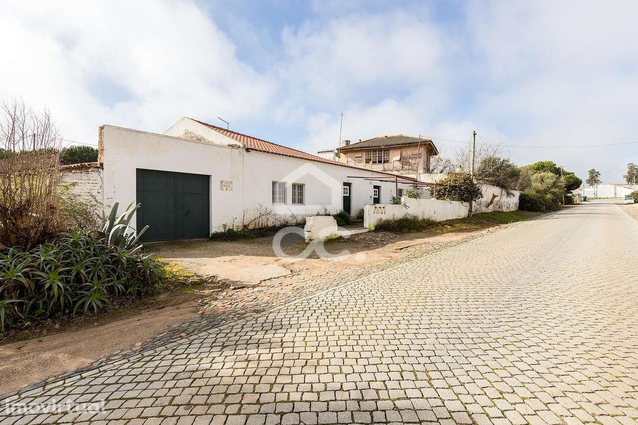 Quinta de 9750 m2 com duas moradias e  Anexos | Torrão - Grande imagem: 2/60