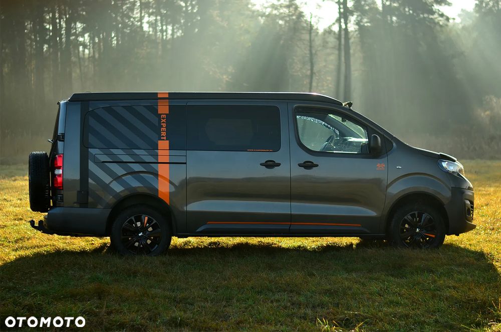 Peugeot Dangel Expert 4x4 - 6