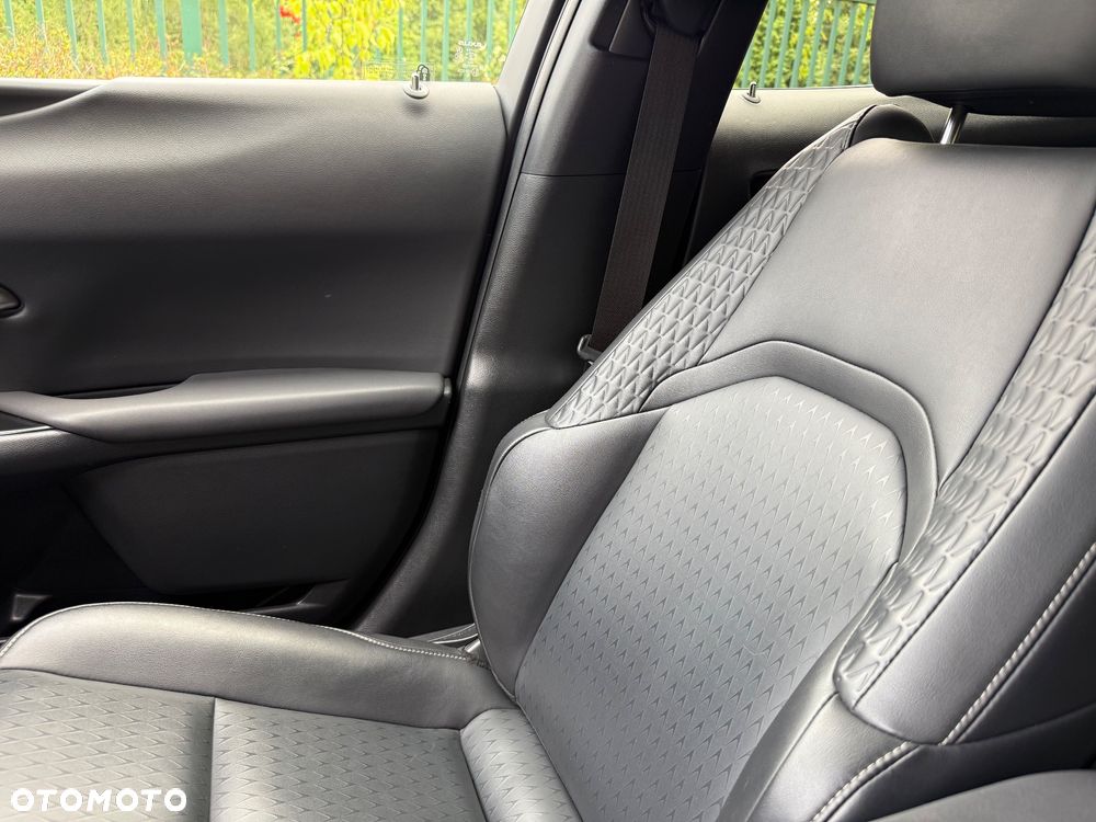 Lexus UX 250h F Sport 2WD - 14