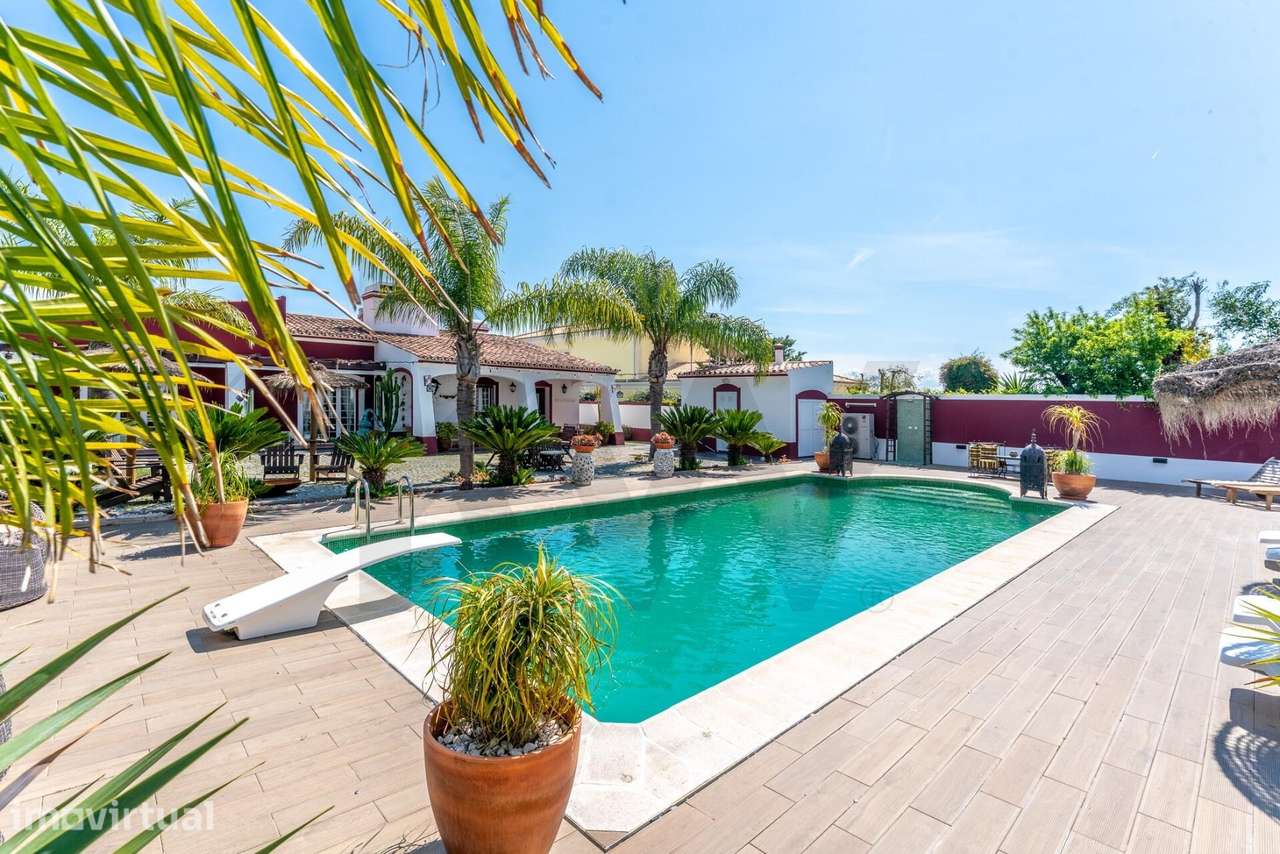 Quinta privada com 1,36 ha, piscina, olival e nascente junto a Monsara - Grande imagem: 2/47