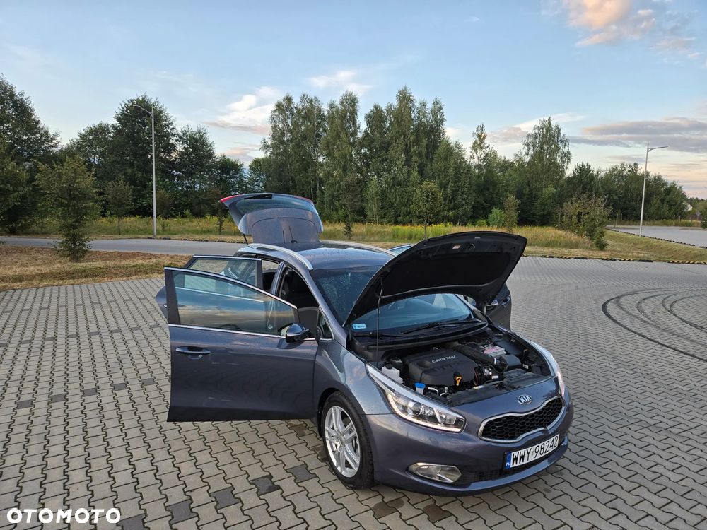 Kia Ceed - 1