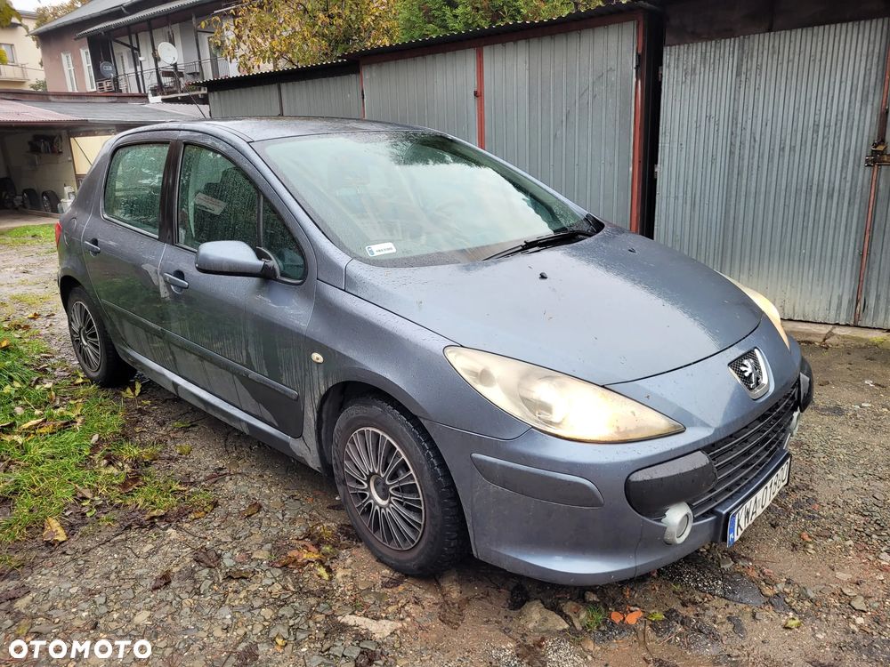 Peugeot 307 - 8
