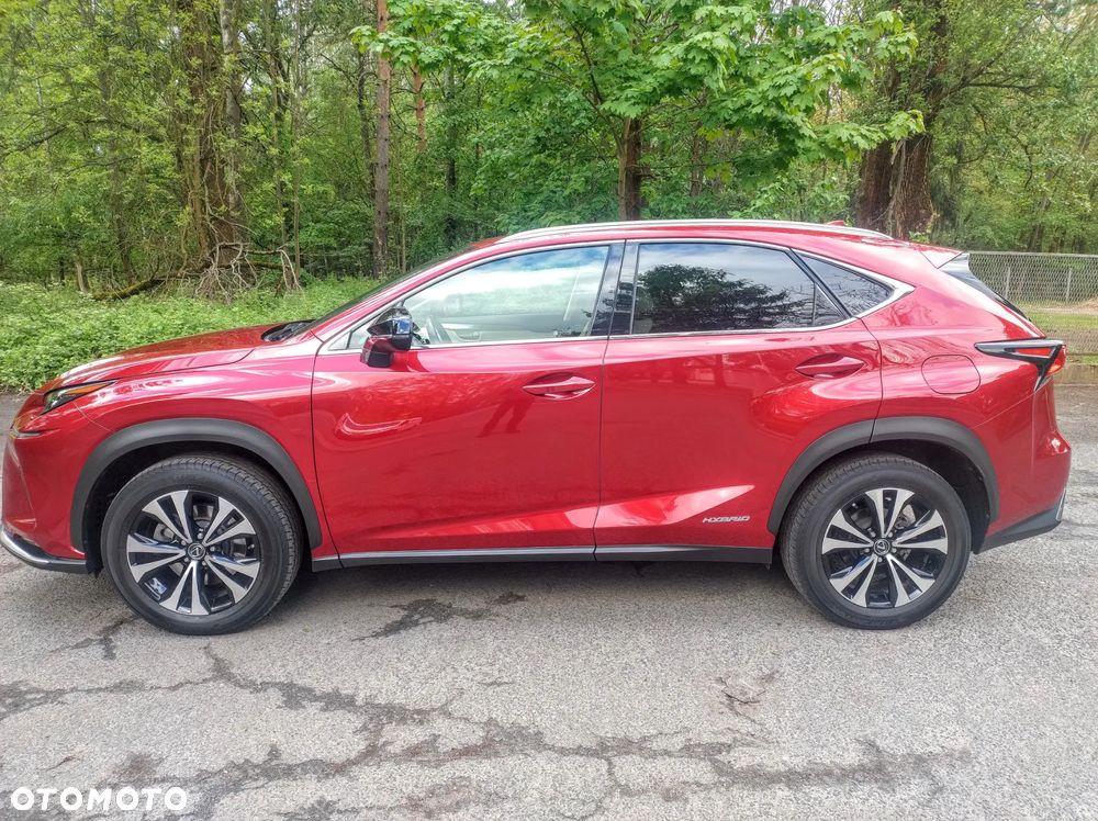 Lexus NX 300h F Impression AWD - 3