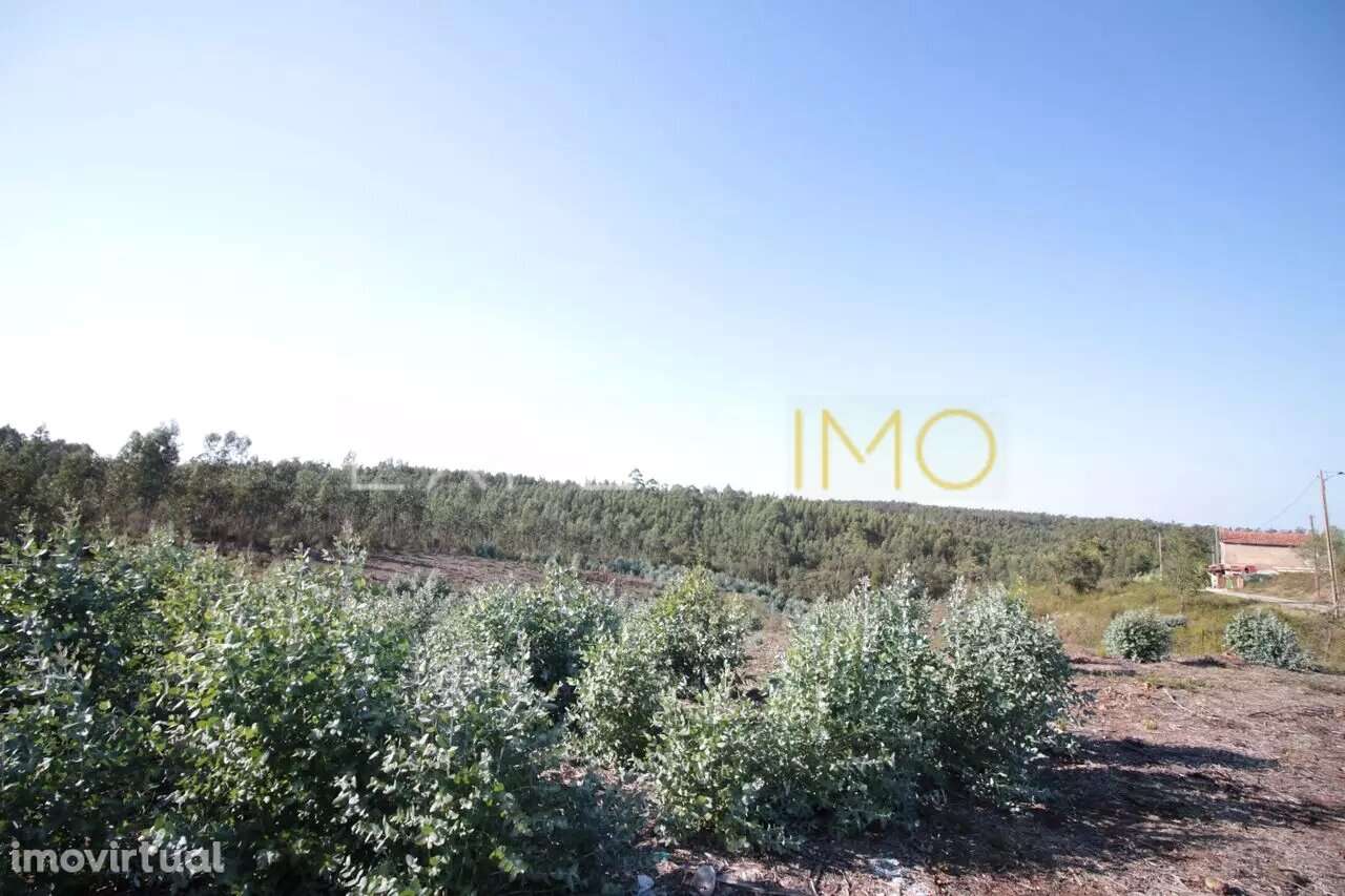 Terreno em Leiria com 75400 m2 para construção - Grande imagem: 4/5