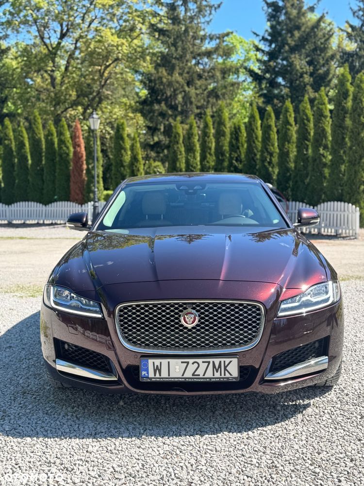 Jaguar XF 2.0 T AWD Portfolio - 16