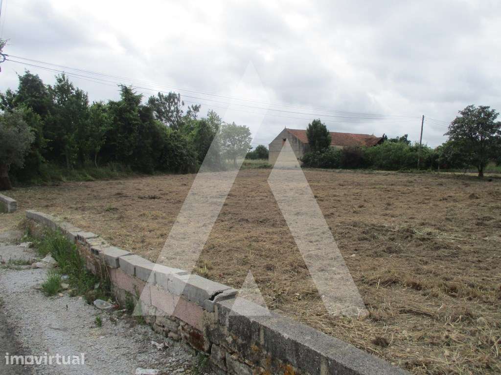 Terreno em Bustos - Grande imagem: 5/5