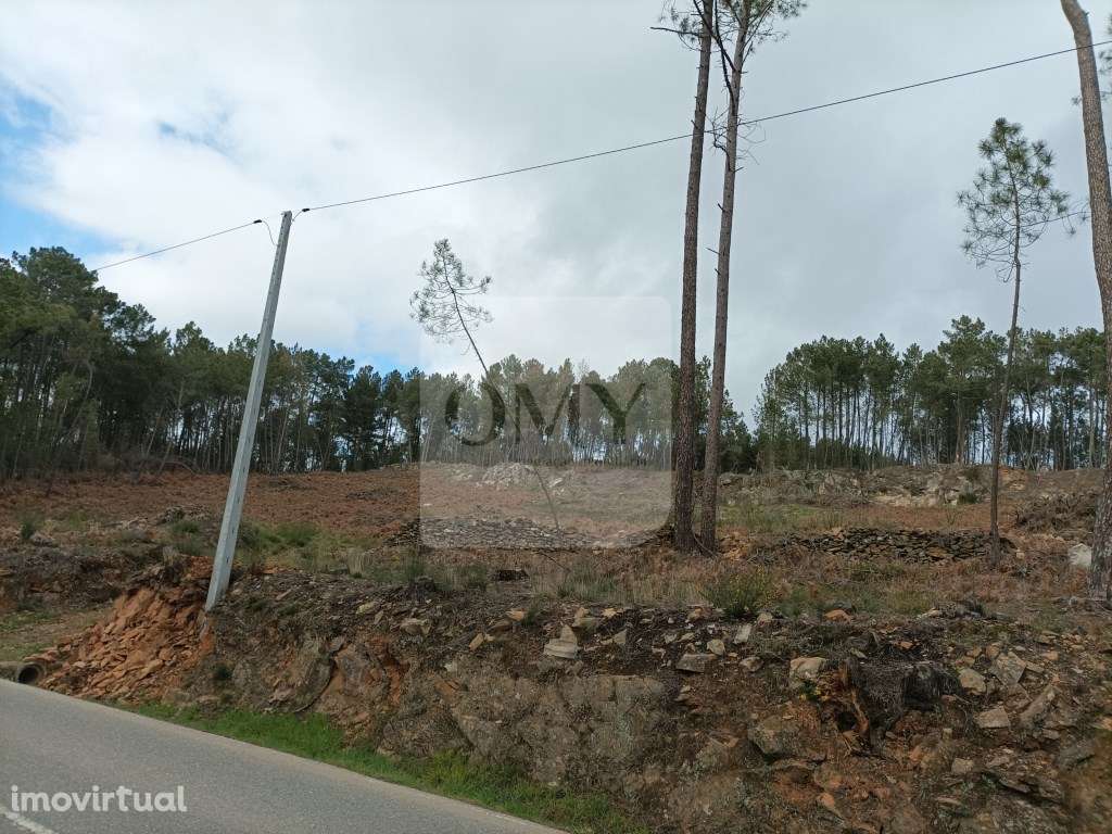 Terreno Junto à N322 na Freguesia de Constantim e Vale de Nogueiras - Grande imagem: 5/5