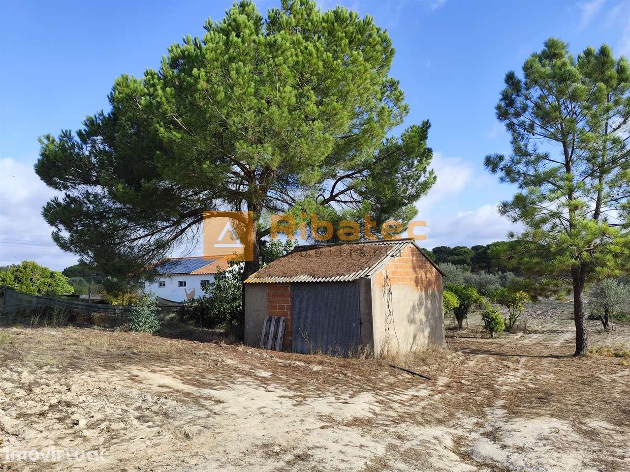 Terreno na Branca - Grande imagem: 4/5