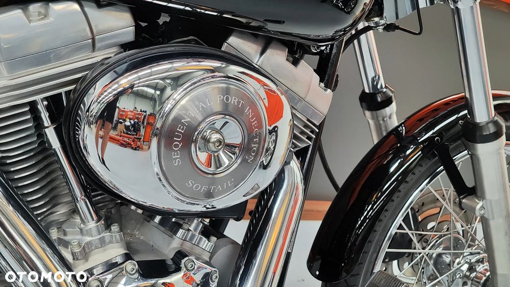 Harley-Davidson Softail Custom - 15