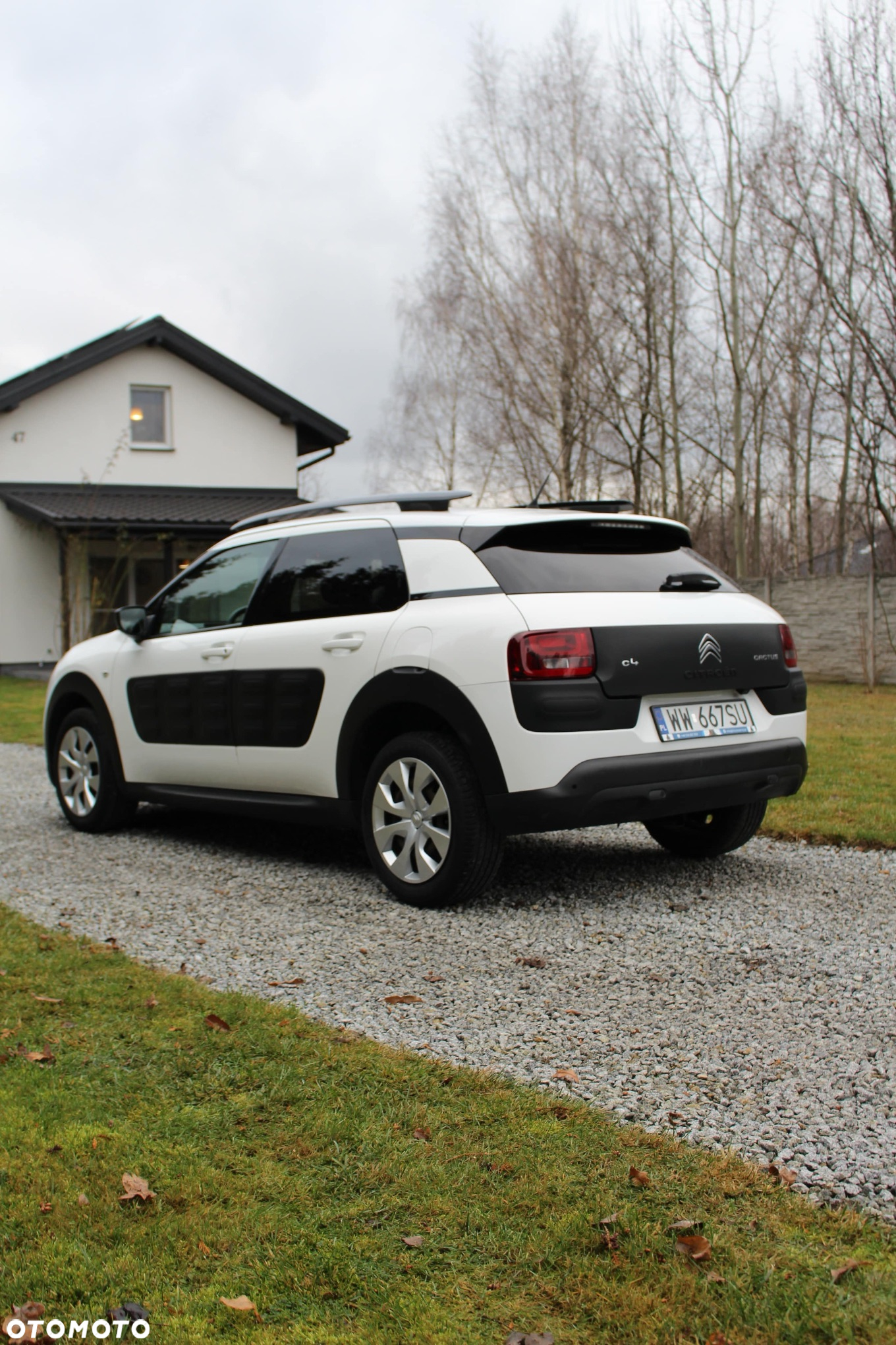 Citroën C4 Cactus - 3