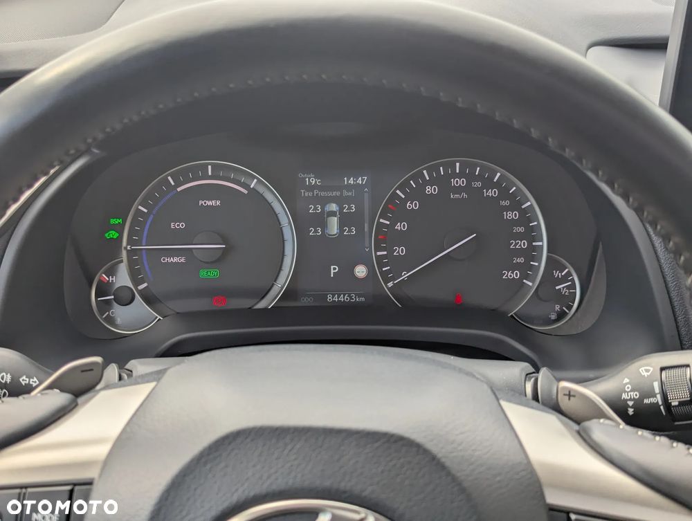 Lexus RX 450h Omotenashi - 12