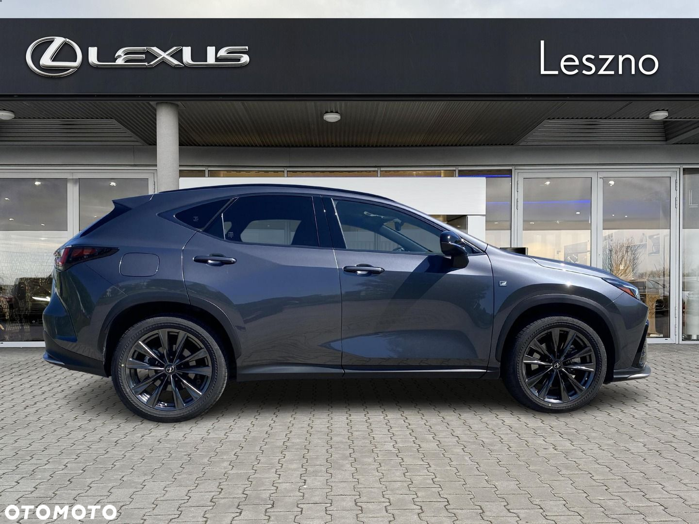 Lexus NX - 10