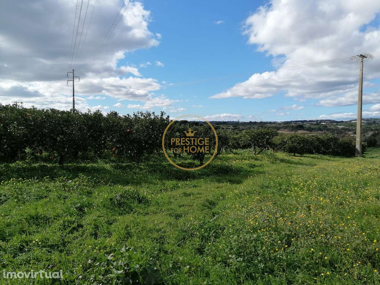 Terreno  vedado, totalmente plano proximo do Triangulo Dourado com agu - Grande imagem: 3/14