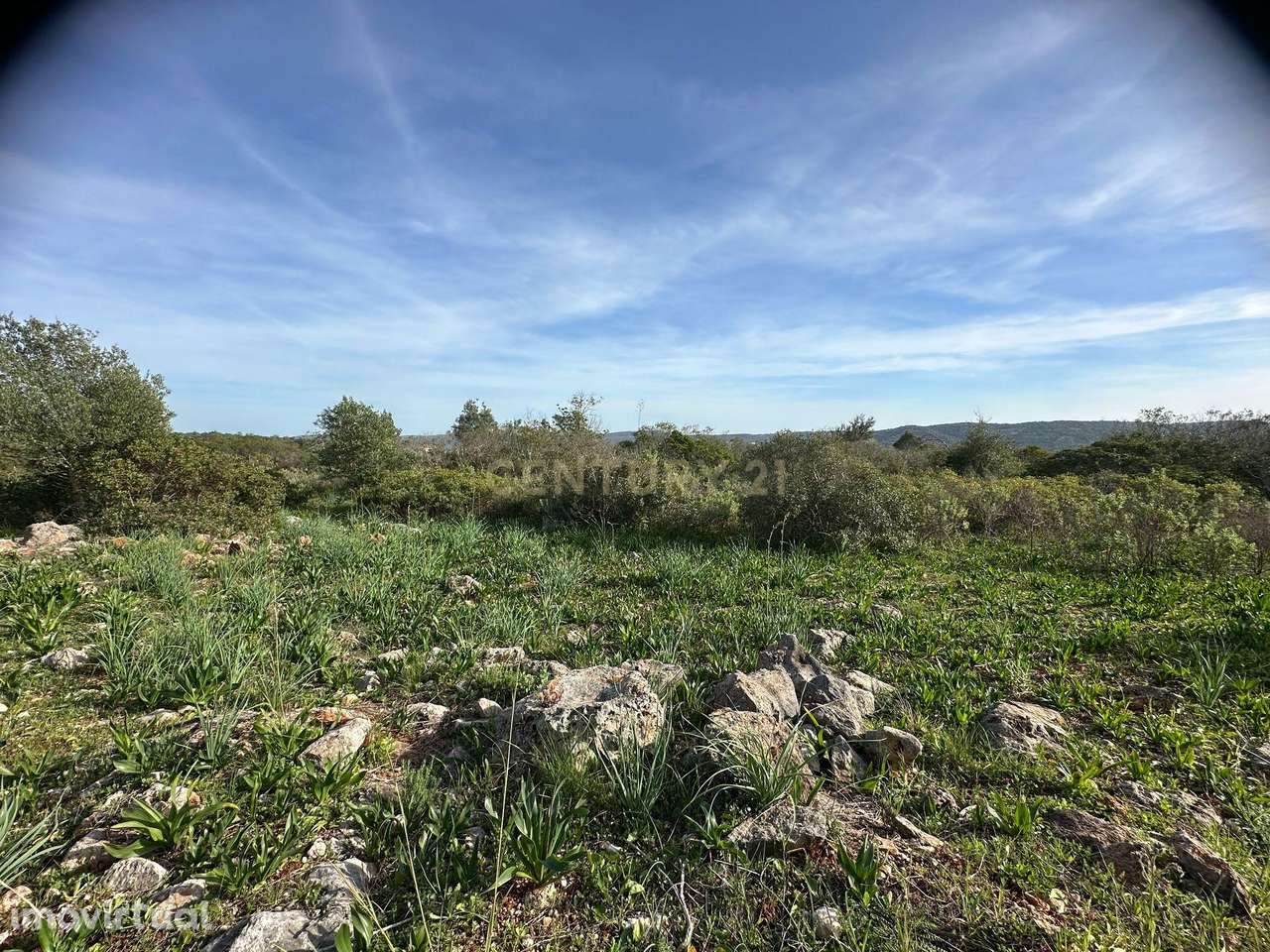 Terreno Rústico em Altofica, Benafim - Loulé - Grande imagem: 3/9
