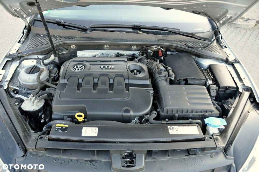 Volkswagen Golf - 39