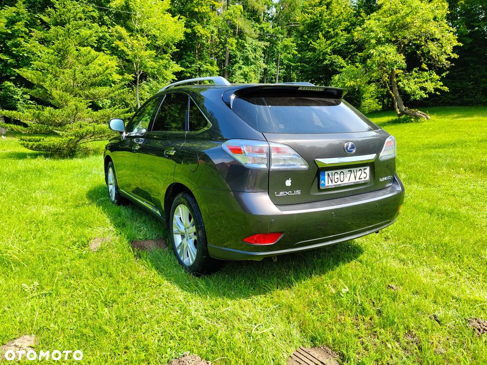 Lexus RX - 7
