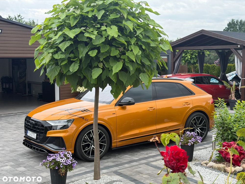 Audi Q8 50 TDI mHEV Quattro Black Edition Tiptronic - 17
