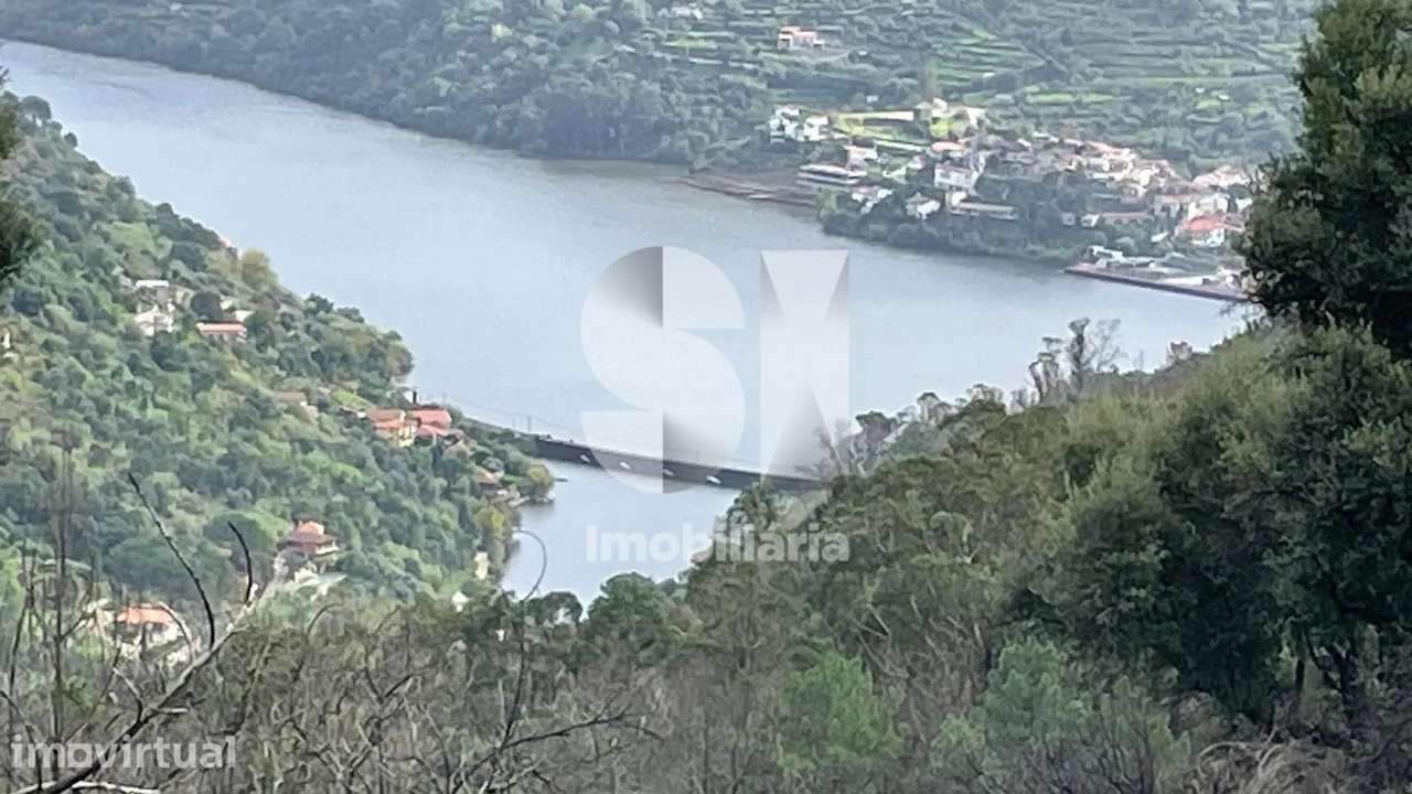 Terreno com PIP aprovado e vista Douro | 19.376 m² | Baião - Grande imagem: 3/14