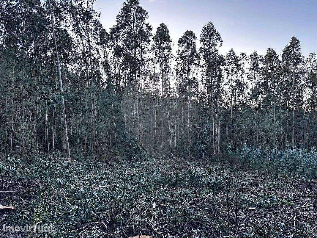 Terreno  para venda - Grande imagem: 2/24