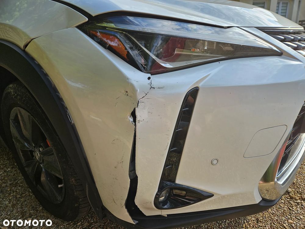 Lexus UX 250h (E-FOUR) Luxury Line - 2