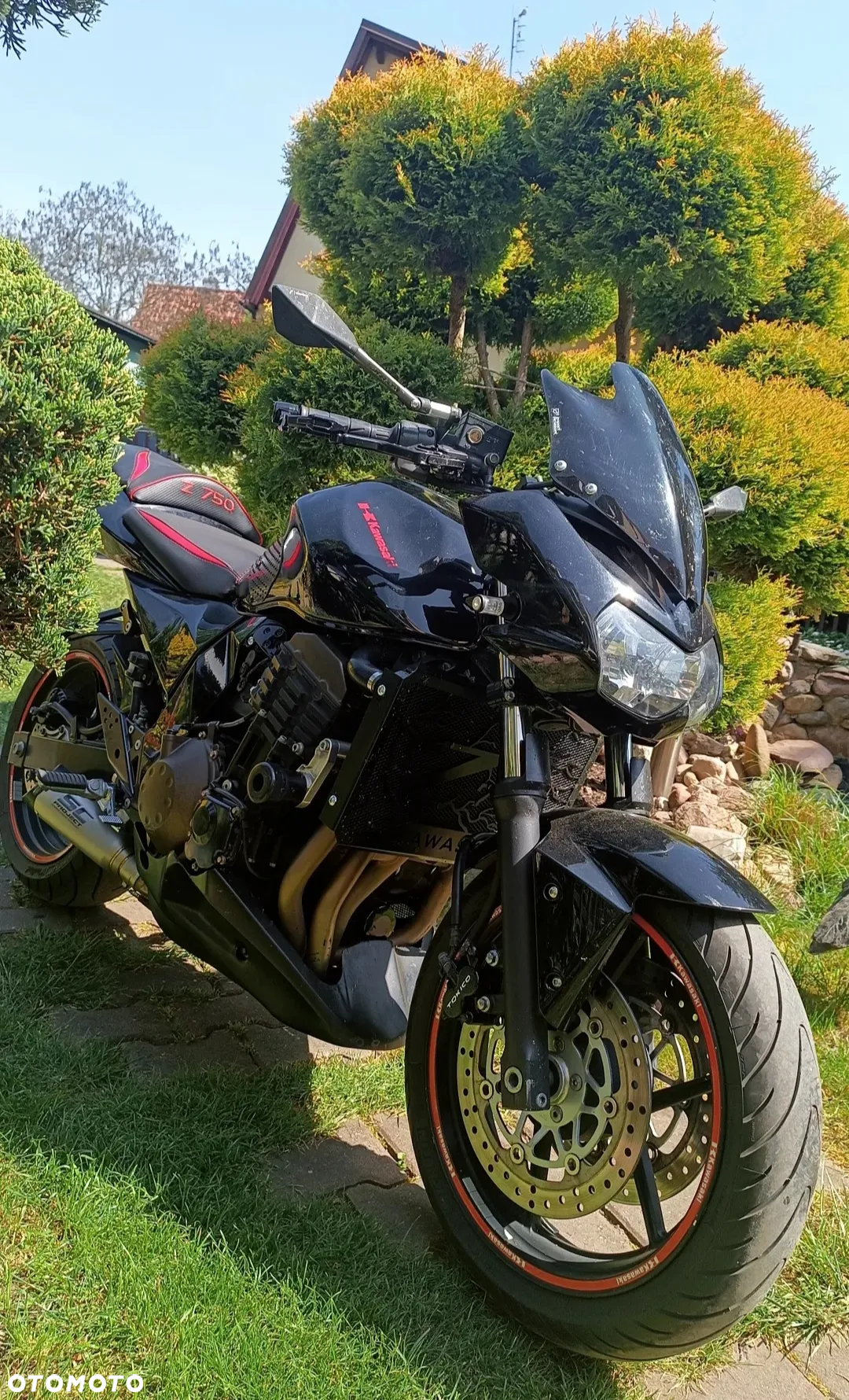 Kawasaki Z - 6