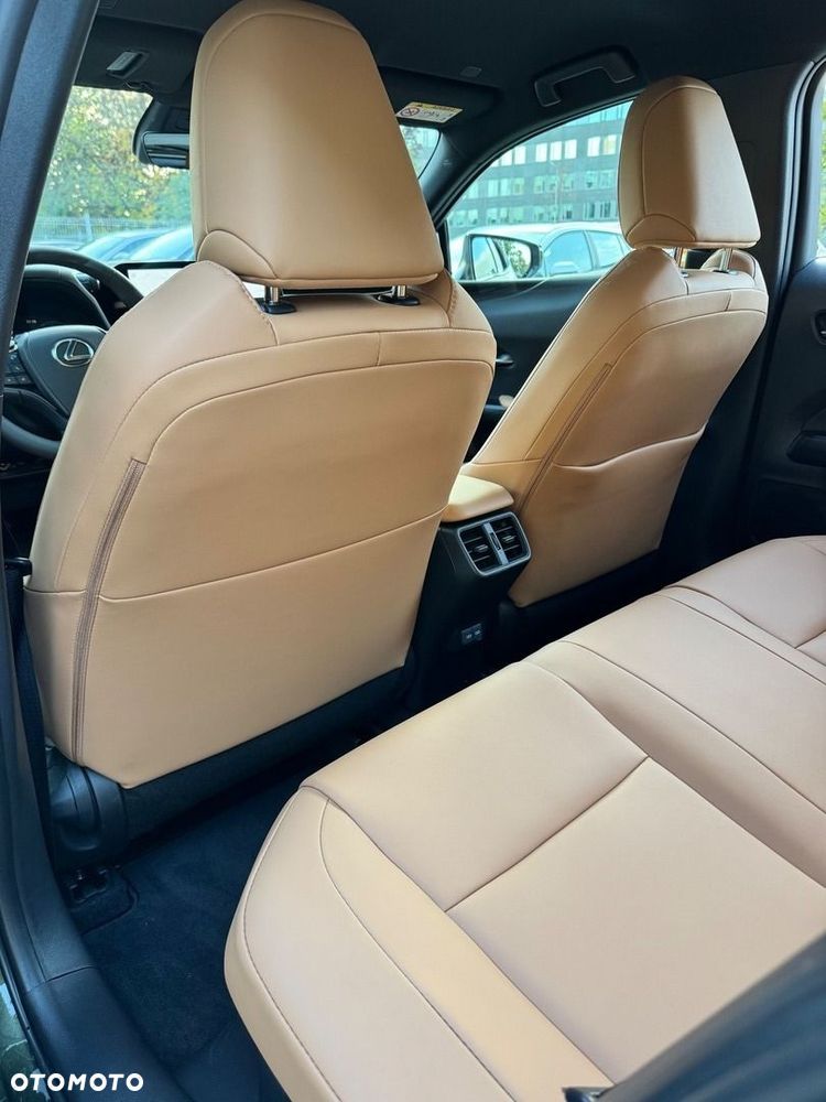 Lexus UX 300h F Sport Design - 19
