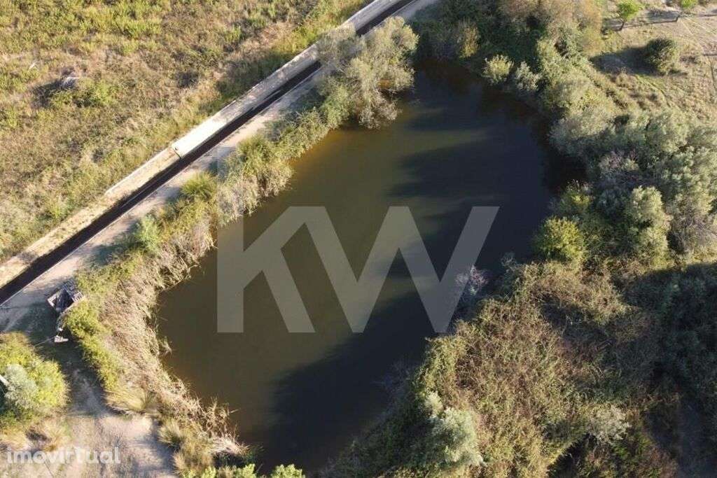 Herdade com cerca de 50ha em zona de Regadio do Ladoeiro Idanha a Nova - Grande imagem: 3/60