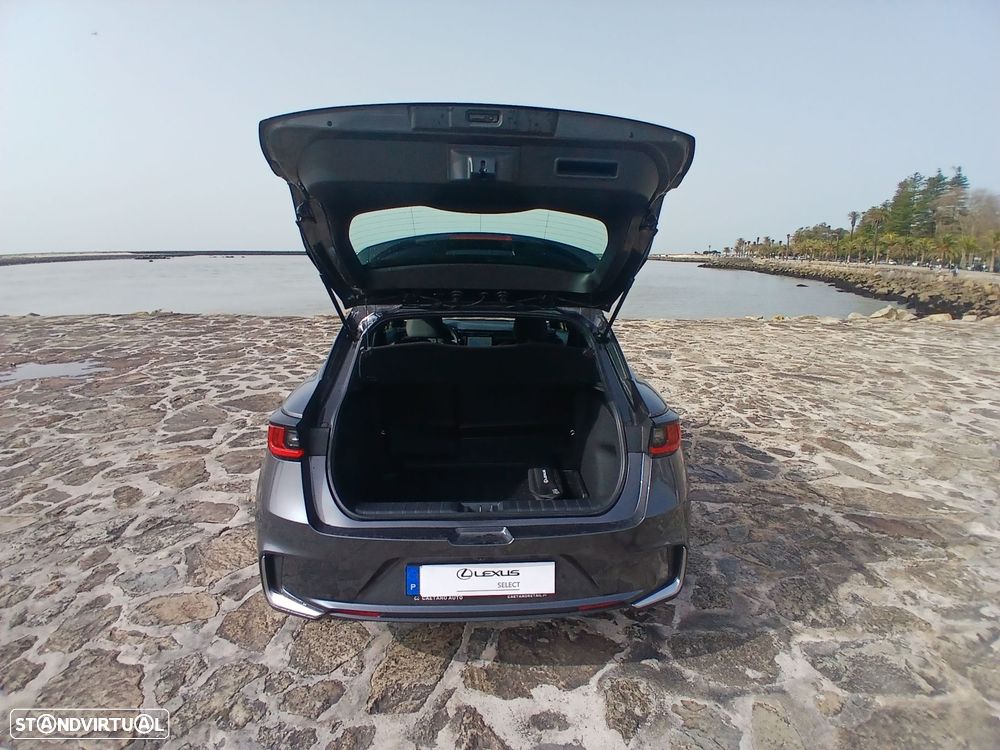 Lexus LBX Elegant - 19