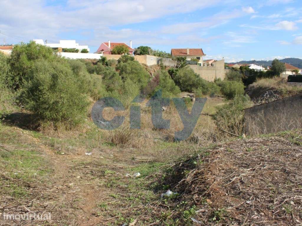 TERRENO 3.600 M2, MORELENA - SINTRA - Grande imagem: 3/38