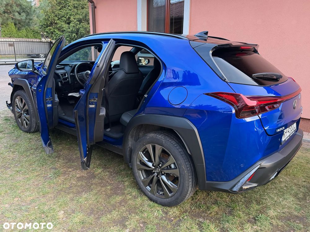 Lexus UX 250h F Sport 2WD - 30