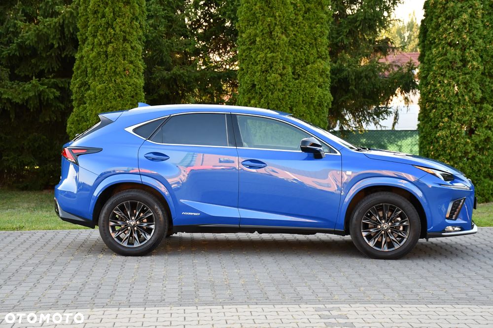 Lexus NX 300h E-FOUR F SPORT - 14