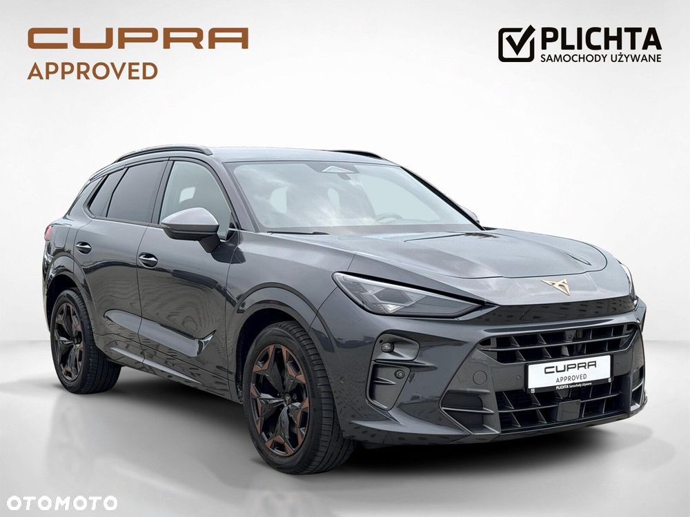 Cupra Terramar 2.0 TSI 4Drive DSG - 8