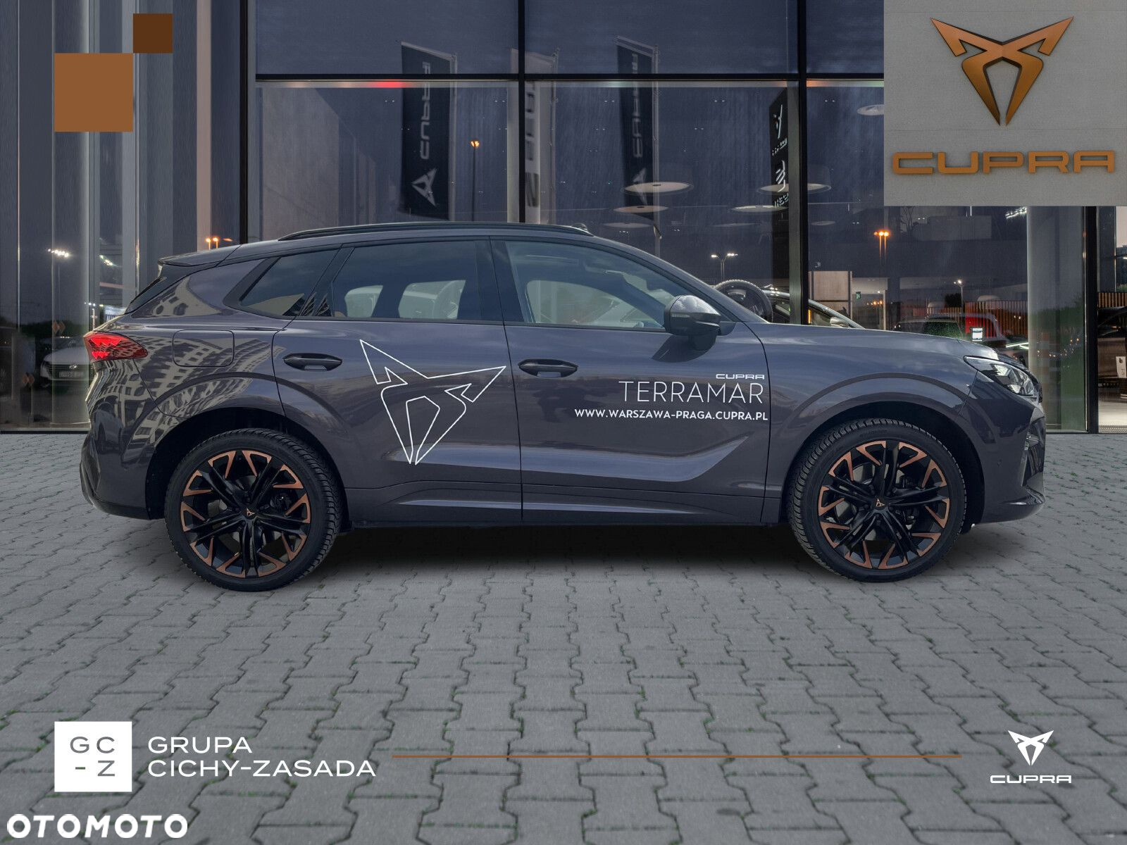 Cupra Terramar - 7
