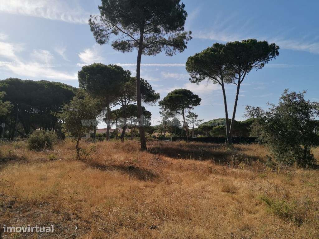 Terreno para cosntrução na Lagoa de Albufeira - Grande imagem: 5/6