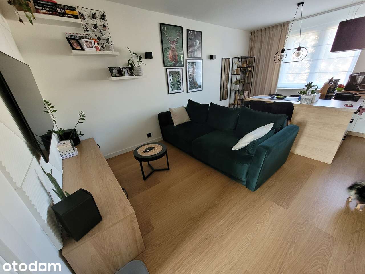 Gdynia Witomino 3 pokoje po generalnym remoncie gotowe do zamieszkania