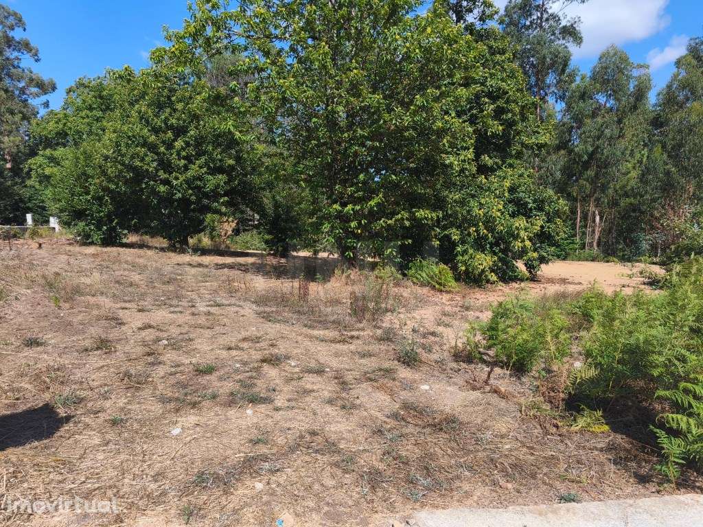 Prédio rústico em zona de construção, vedado com muro de granito - Grande imagem: 2/12