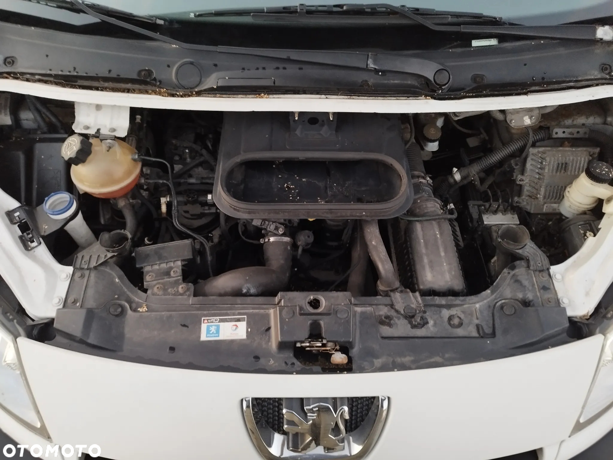 Peugeot Expert - 19
