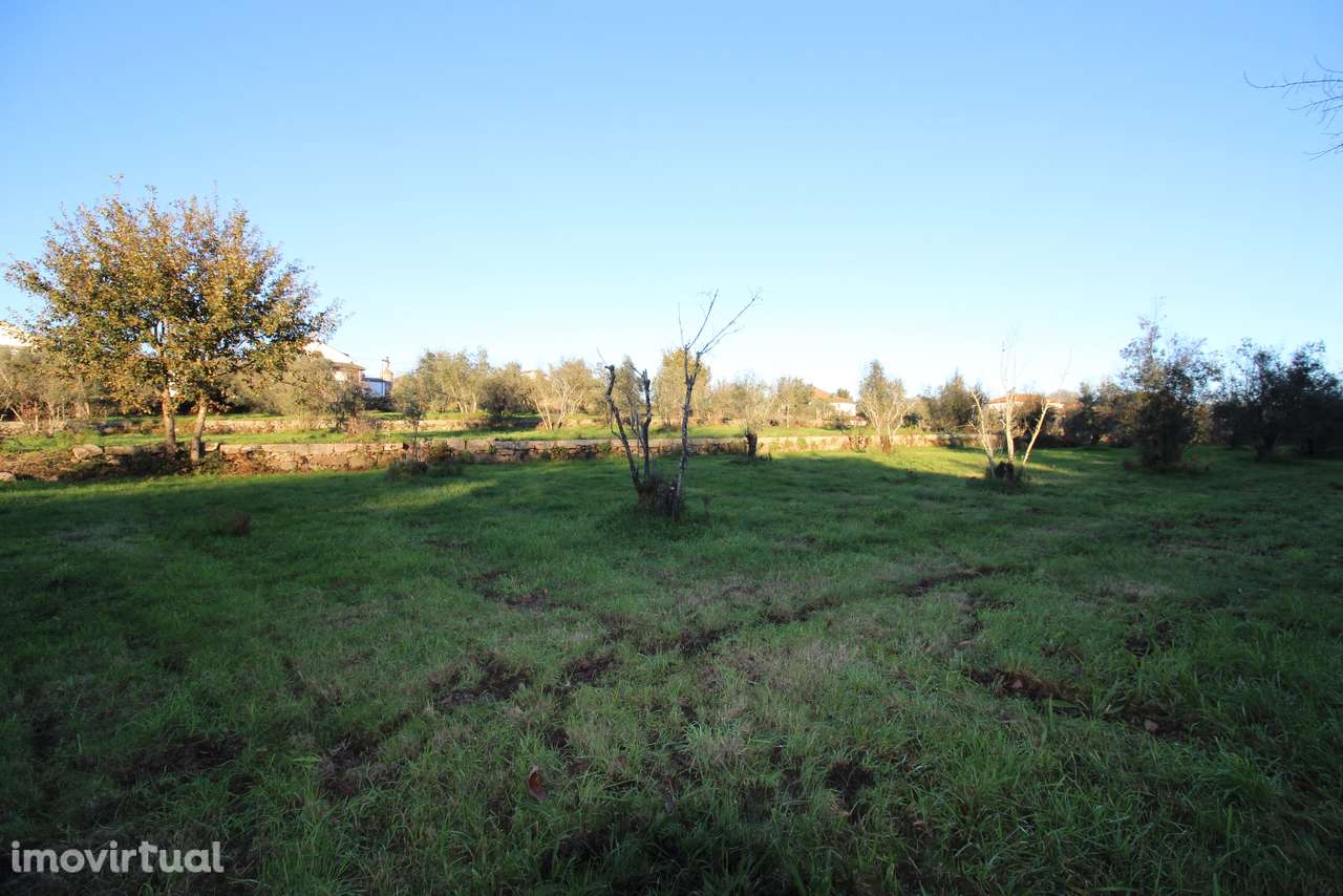 Terreno  Venda em Canas de Santa Maria,Tondela - Grande imagem: 4/14