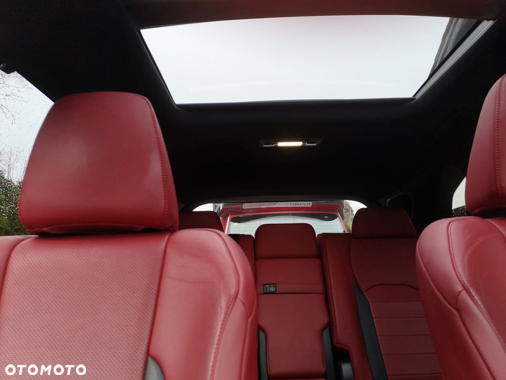 Lexus RX 300 F Sport Edition - 10