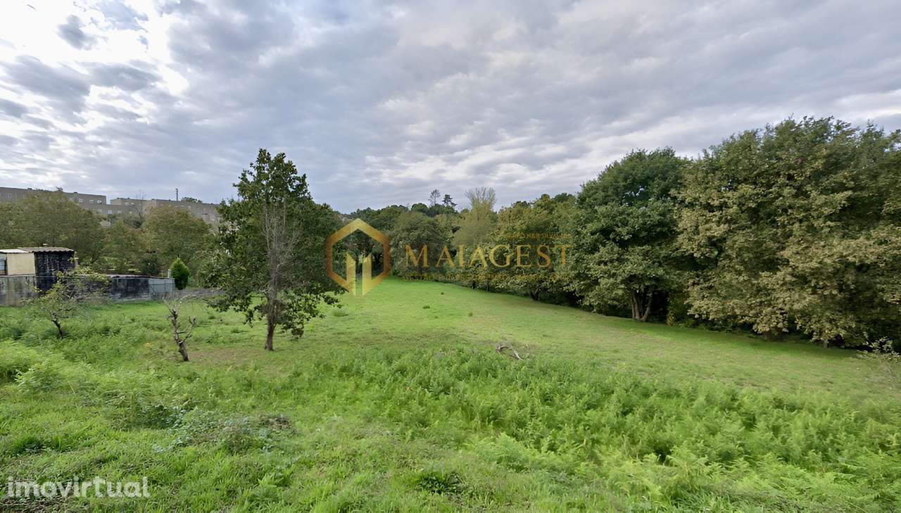 Terreno Rústico com Capacidade Construtiva junto ao Rio Febros - Grande imagem: 5/7