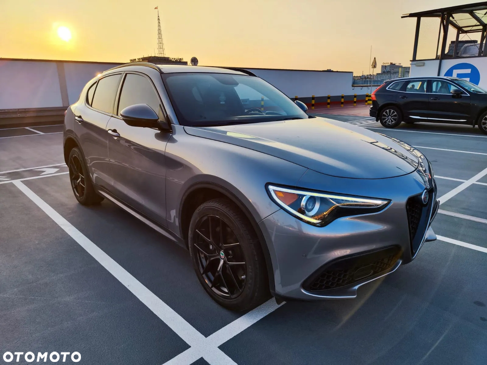 Alfa Romeo Stelvio 2.0 Turbo Veloce TI Q4 - 6