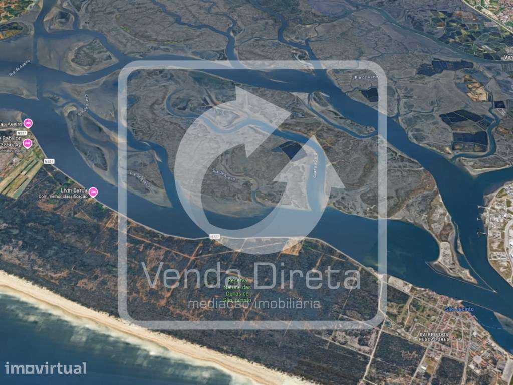 Conjunto de 3 Parcelas de Terreno Rústico | 518.5 HA | Ilha Monte F... - Grande imagem: 4/13