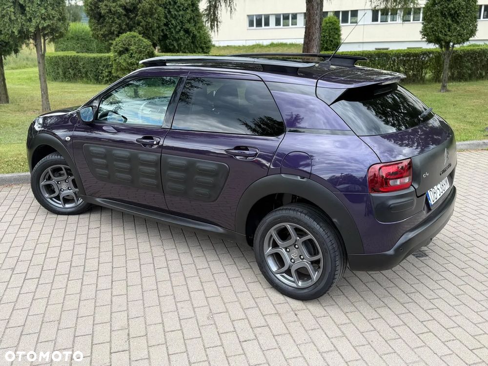Citroën C4 Cactus PureTech 110 Stop&Start Origins - 24
