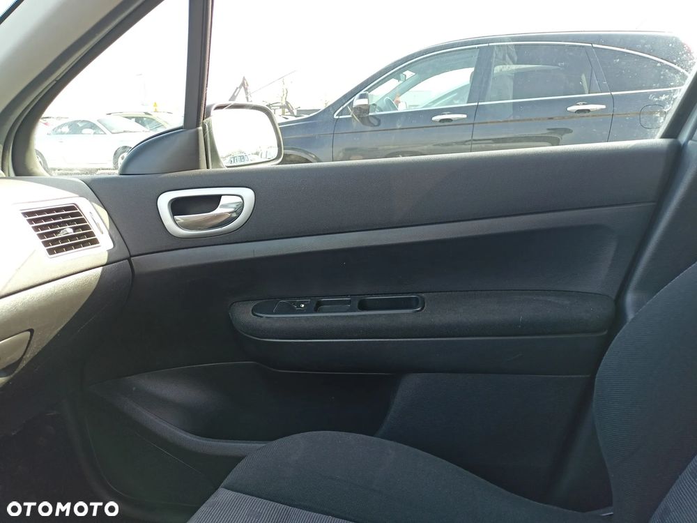 Peugeot 307 - 13
