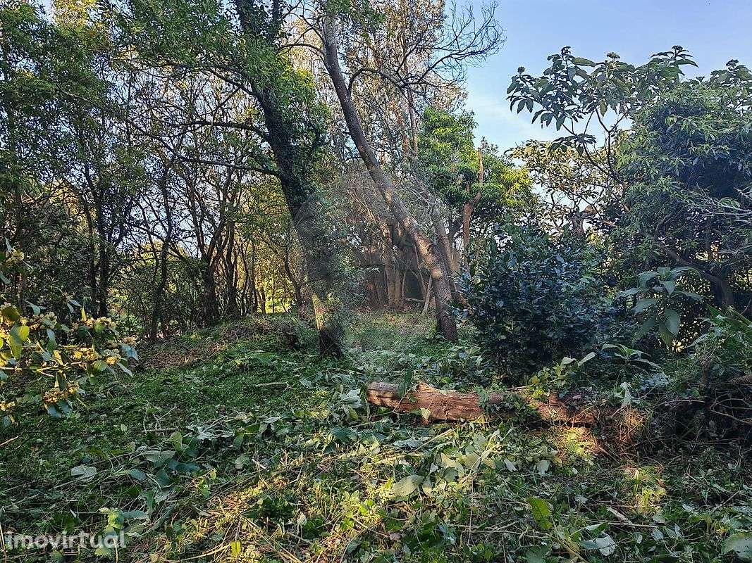 Terreno  para venda - Grande imagem: 5/10