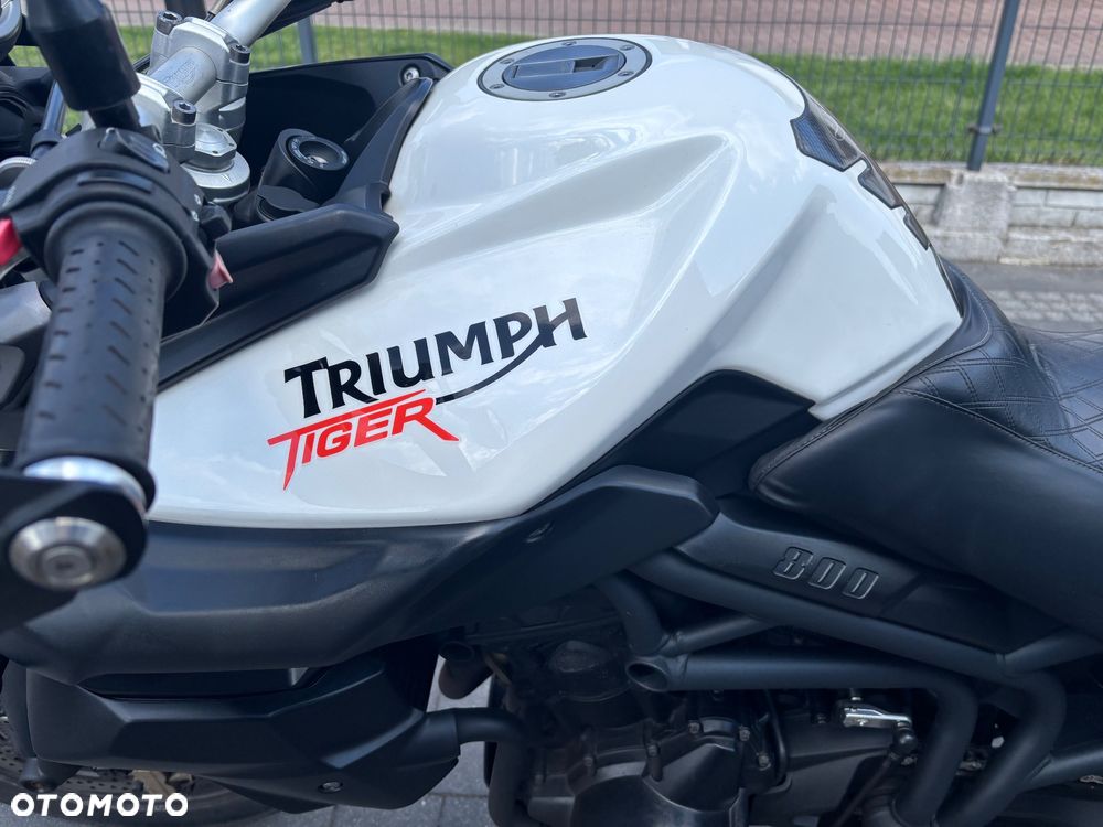Triumph Tiger - 16