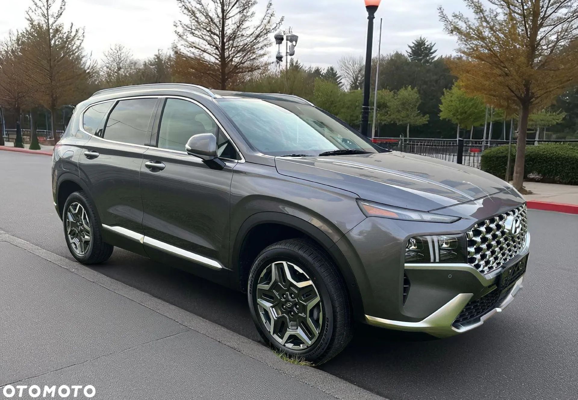 Hyundai Santa Fe 1.6 T-GDI PHEV Platinum 4WD - 1