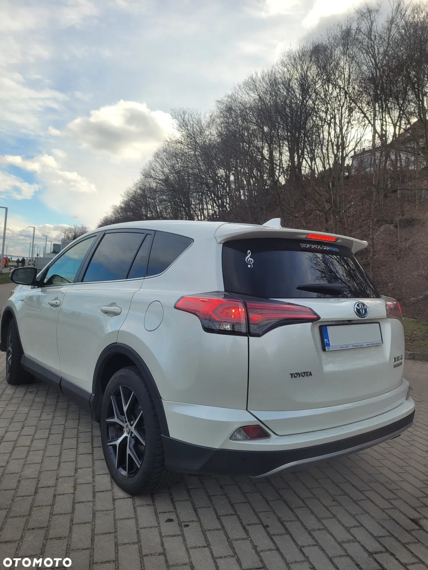 Toyota RAV4 Hybrid Selection 4x4 - 3