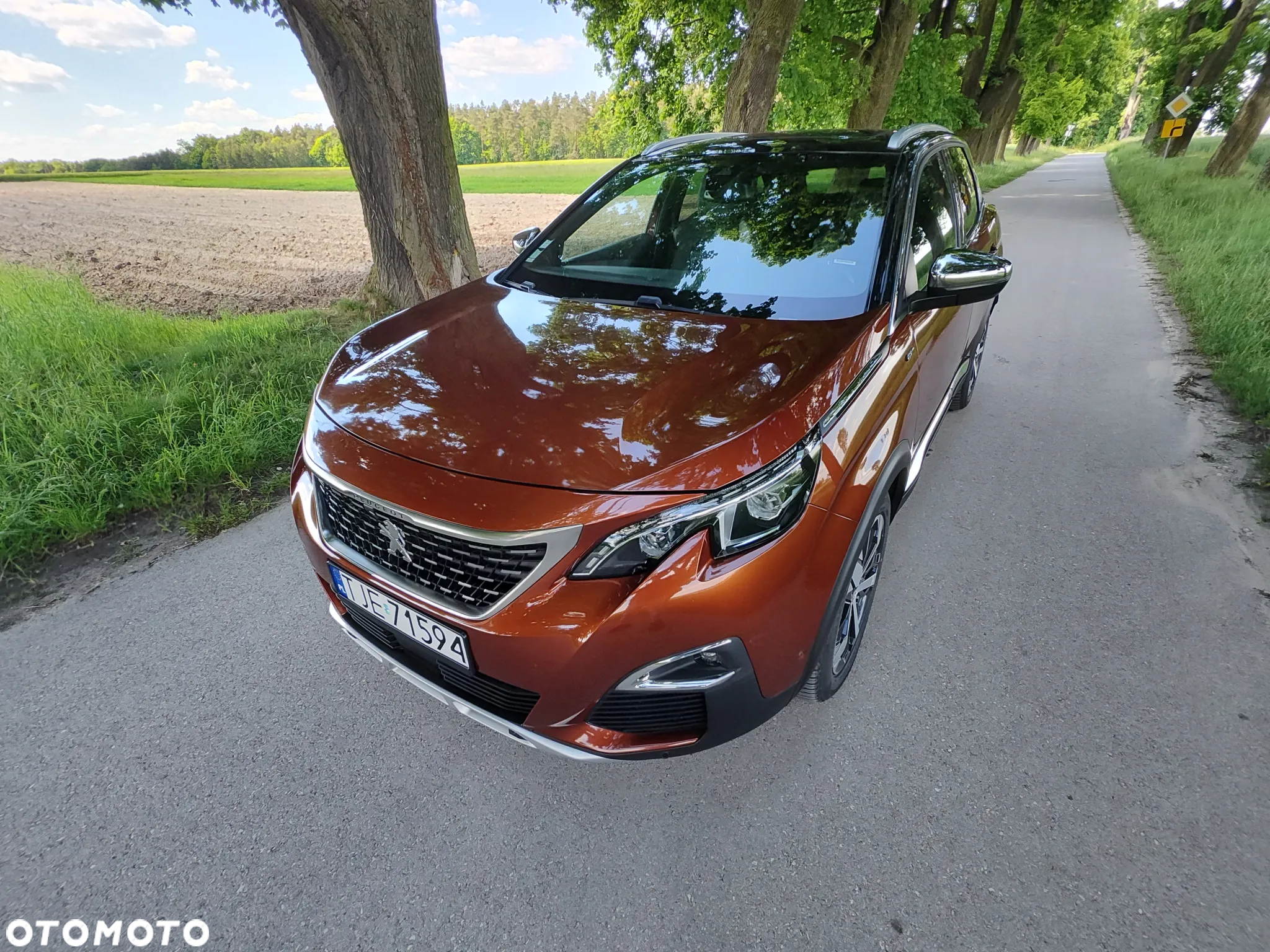 Peugeot 3008 2.0 BlueHDi GT S&S EAT8 - 24